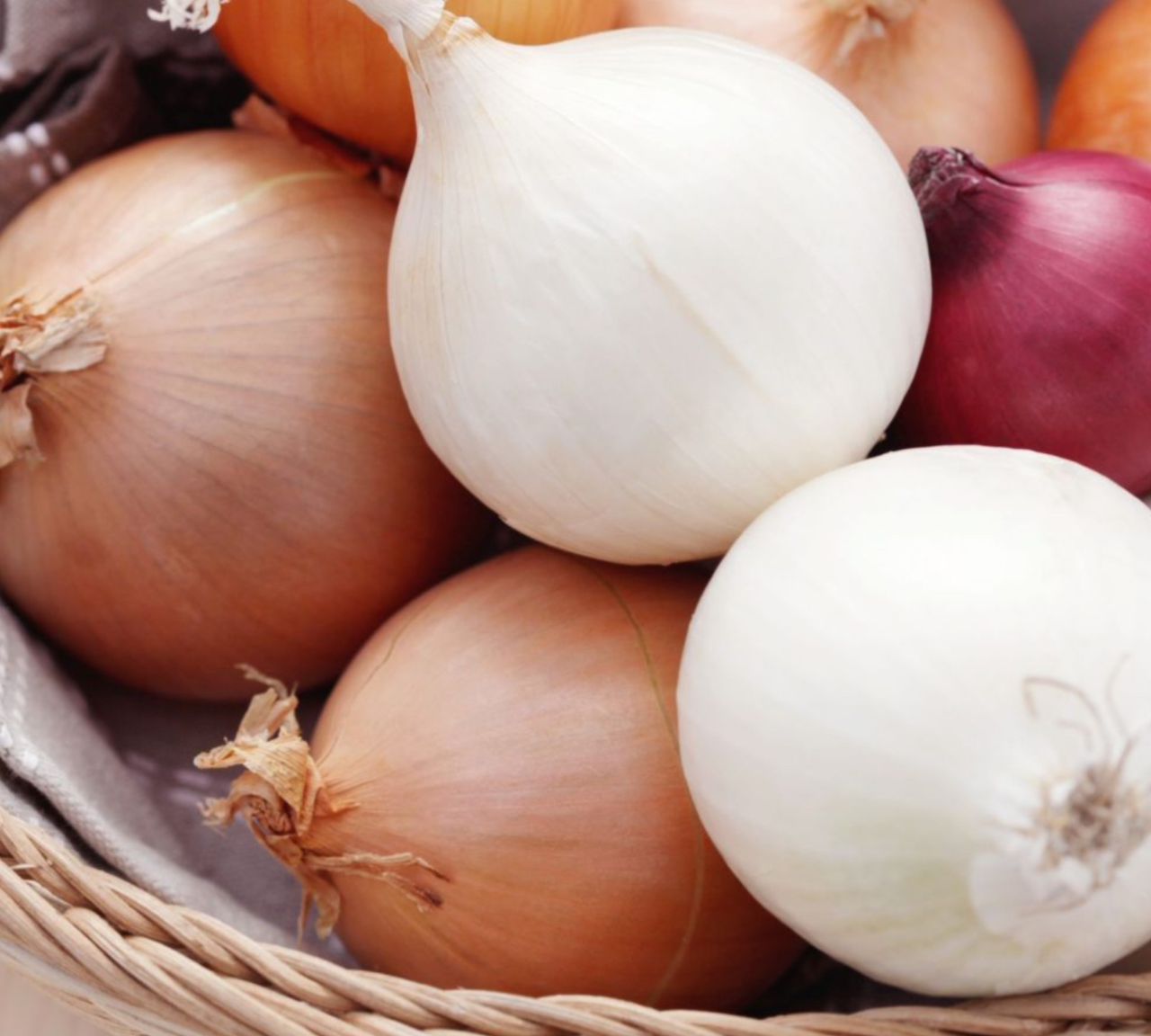 pro_5e0_Onions.jpg
