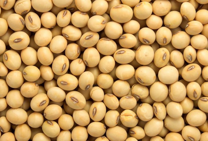 pro_a12_Sesame-seed-2.jpg