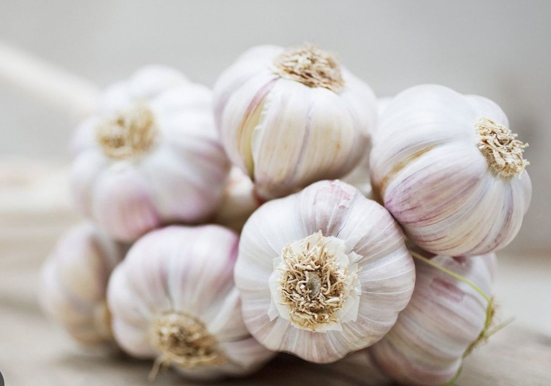 pro_bbeGarlic.jpg